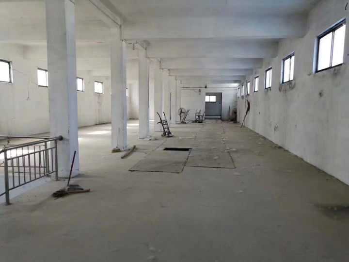 曹河乡一中东边面粉厂,30亩地,标准化仓库,可储存粮.